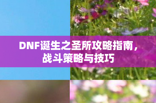 DNF诞生之圣所攻略指南图片