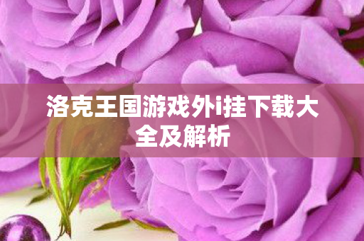 洛克王国游戏外i挂下载大全及解析图片