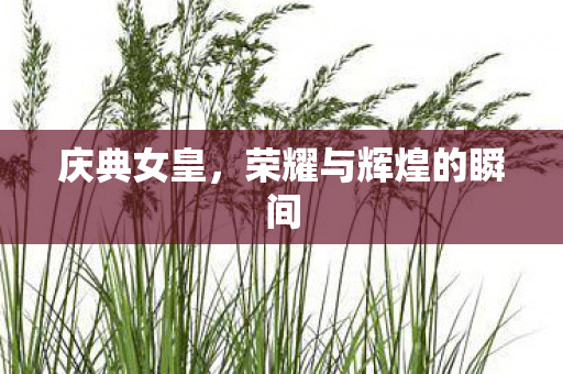 荣耀与辉煌的瞬间图片