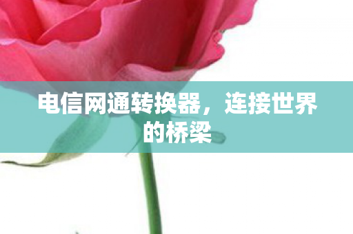 电信网通转换器图片