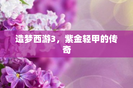 紫金轻甲的传奇图片