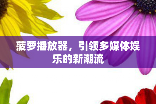 引领多媒体娱乐的新潮流图片