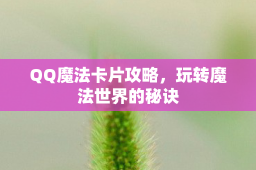 玩转魔法世界的秘诀图片