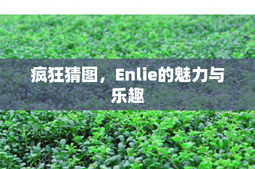 Enlie的魅力与乐趣图片