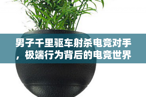 男子千里驱车射杀电竞对手图片