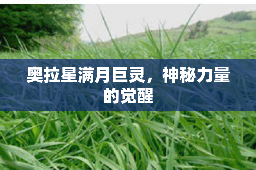 奥拉星满月巨灵图片