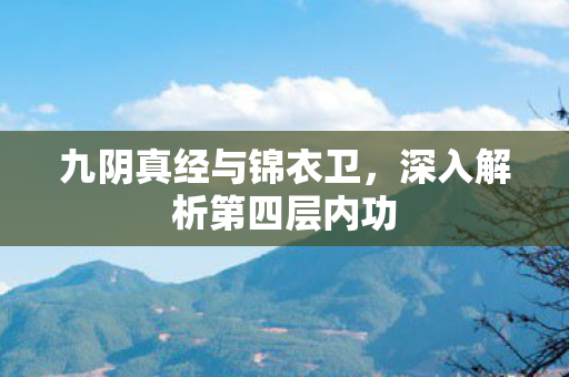 深入解析第四层内功图片