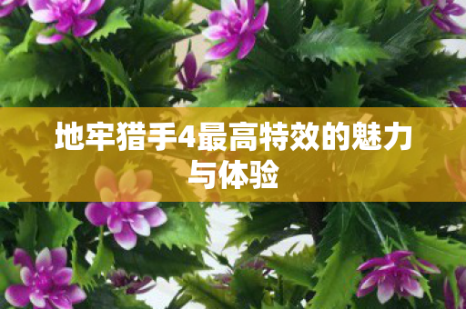 地牢猎手4最高特效的魅力与体验图片