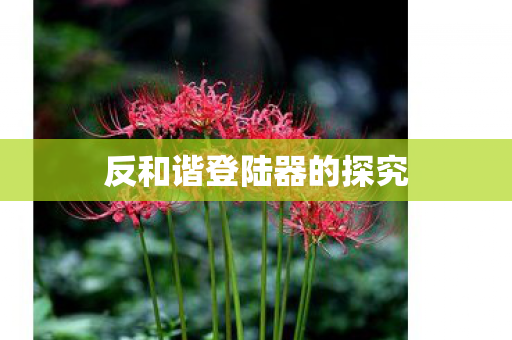 反和谐登陆器的探究图片