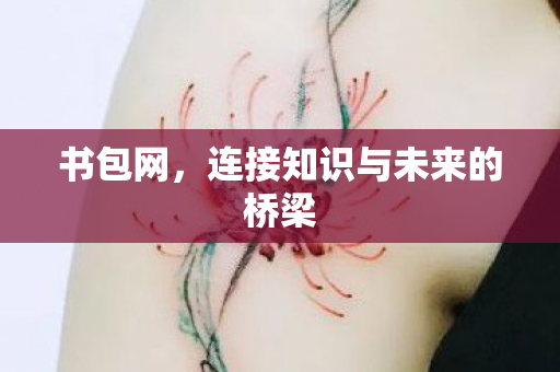 连接知识与未来的桥梁图片