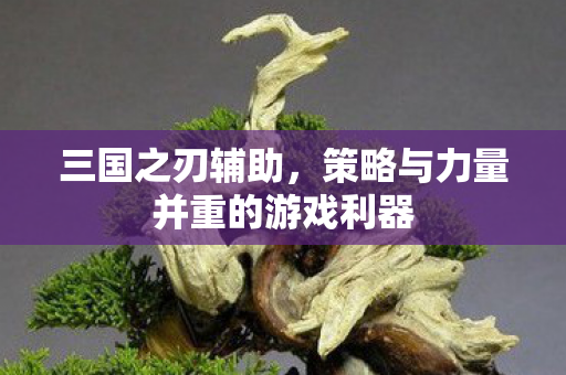 策略与力量并重的游戏利器图片