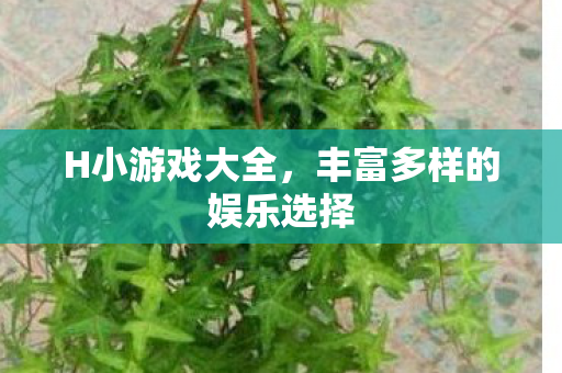 丰富多样的娱乐选择图片