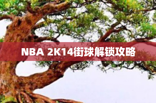 NBA 2K14街球解锁攻略图片