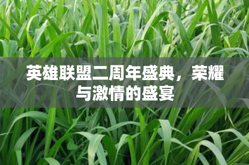 英雄联盟二周年盛典图片
