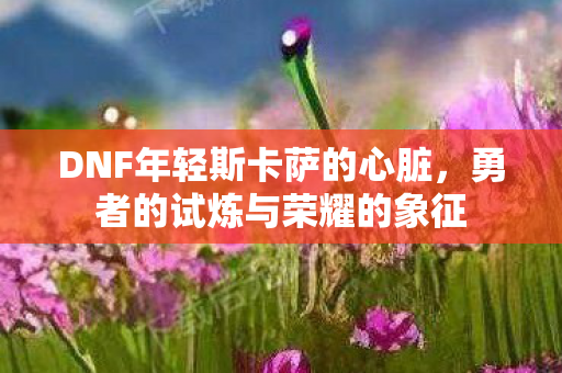 DNF年轻斯卡萨的心脏图片