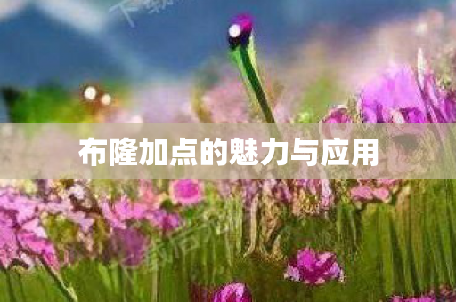布隆加点的魅力与应用图片