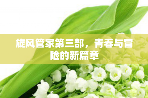 青春与冒险的新篇章图片