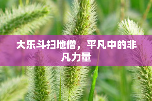 平凡中的非凡力量图片