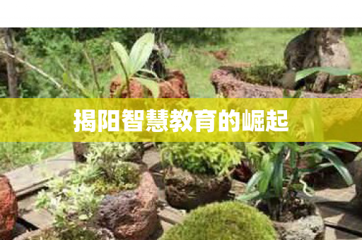 揭阳智慧教育的崛起图片