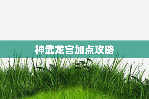 神武龙宫加点攻略图片