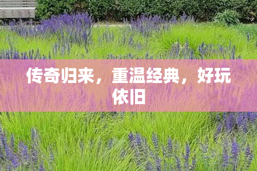 传奇归来图片