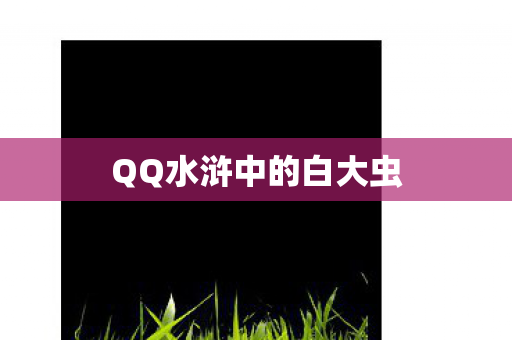 QQ水浒中的白大虫图片