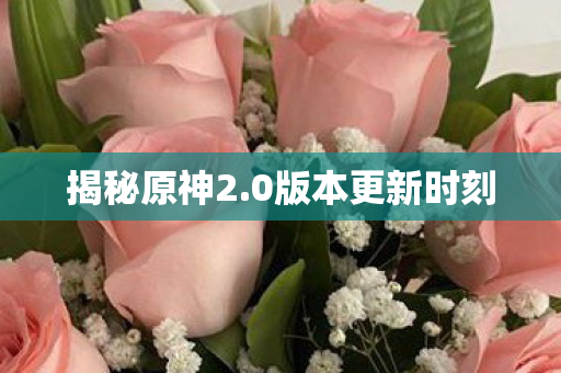0版本更新时刻图片