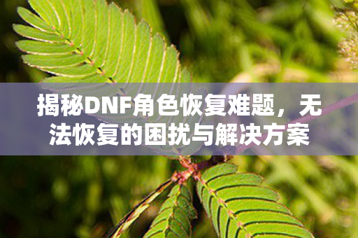 无法恢复的困扰与解决方案图片