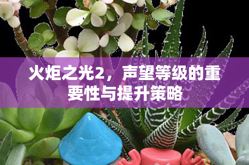 声望等级的重要性与提升策略图片