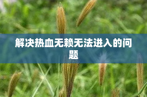 解决热血无赖无法进入的问题图片