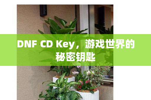 DNF CD Key图片