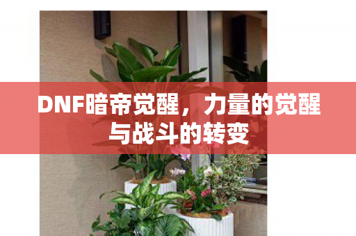 力量的觉醒与战斗的转变图片