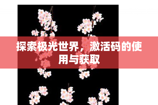 激活码的使用与获取图片