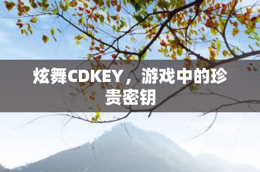 游戏中的珍贵密钥图片