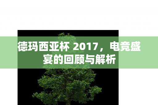 德玛西亚杯 2017图片