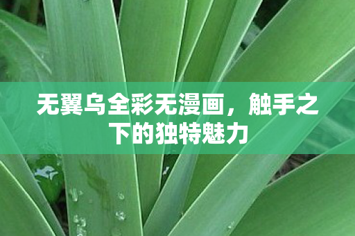 无翼乌全彩无漫画,触手之下的独特魅力 无翼乌全彩无漫画,触手之下的独特魅力