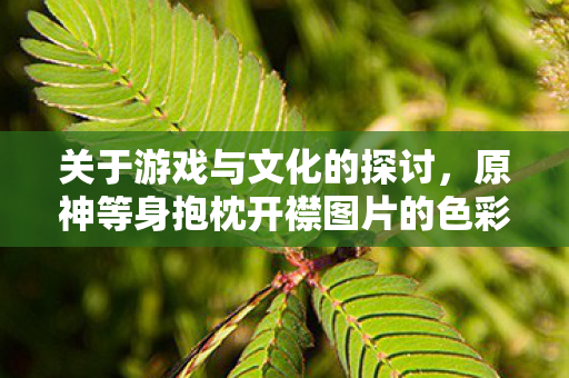 原神等身抱枕开襟图片的色彩艺术图片