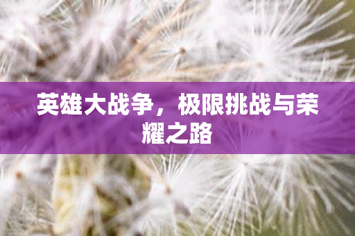 极限挑战与荣耀之路图片