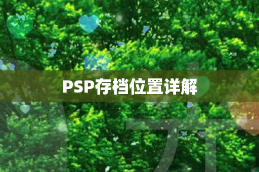 PSP存档位置详解图片