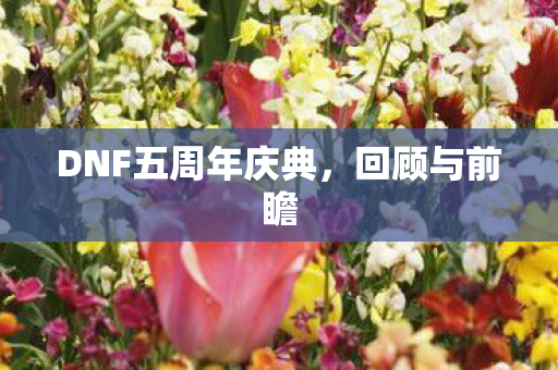 DNF五周年庆典图片