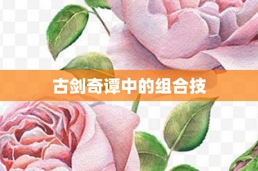 古剑奇谭中的组合技图片