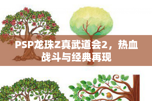 PSP龙珠Z真武道会2图片