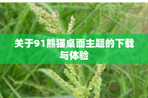 关于91熊猫桌面主题的下载与体验图片