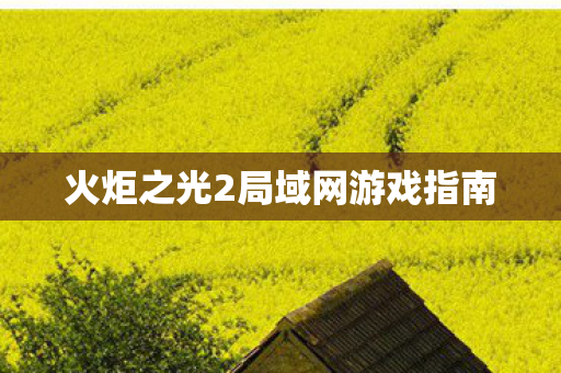 火炬之光2局域网游戏指南图片