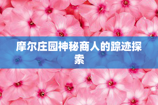 摩尔庄园神秘商人的踪迹探索 摩尔庄园神秘商人的踪迹探索