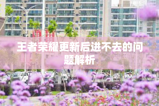 王者荣耀更新后进不去的问题解析图片