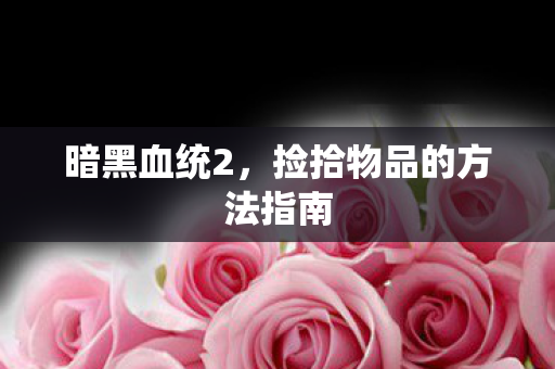 捡拾物品的方法指南图片