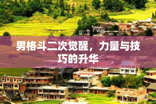 力量与技巧的升华图片