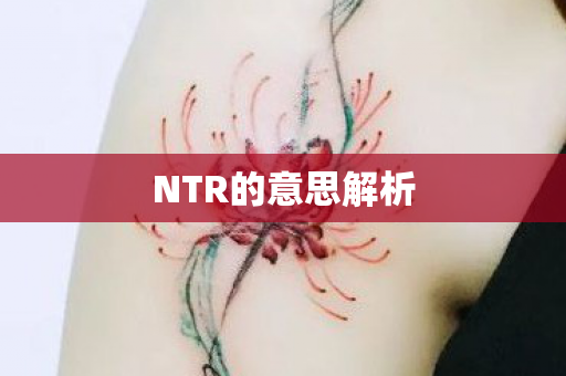 NTR的意思解析图片