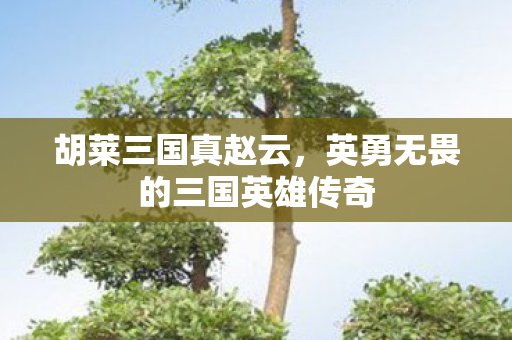 英勇无畏的三国英雄传奇图片